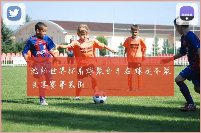 沈阳世界杯看球聚会开启 球迷齐聚共享赛事氛围