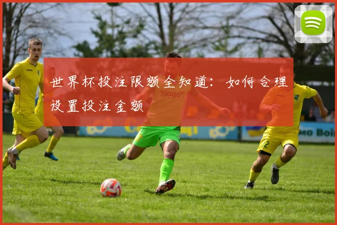 世界杯投注限额全知道：如何合理设置投注金额
