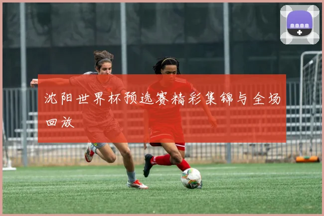 沈阳世界杯预选赛精彩集锦与全场回放