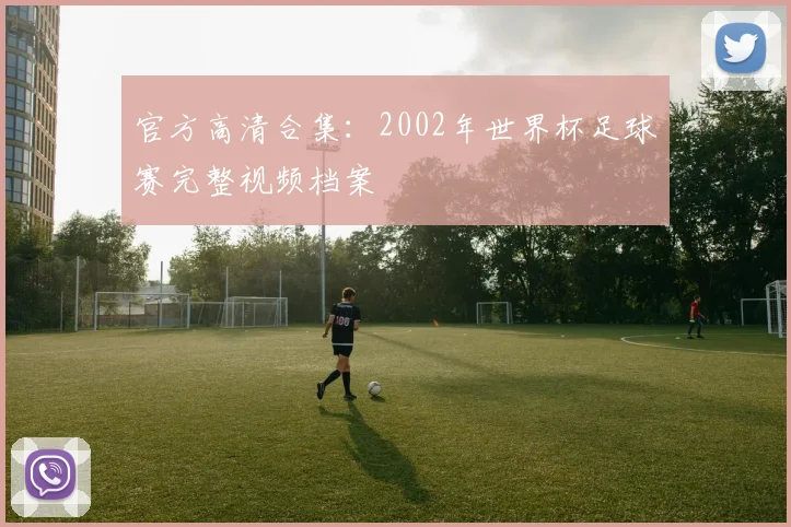 官方高清合集：2002年世界杯足球赛完整视频档案