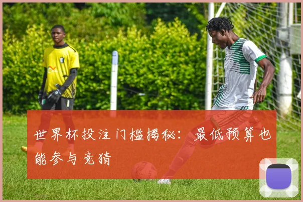 世界杯投注门槛揭秘:最低预算也能参与竞猜