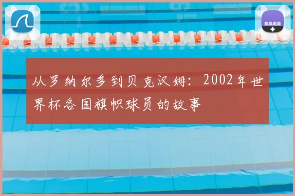 从罗纳尔多到贝克汉姆：2002年世界杯各国旗帜球员的故事