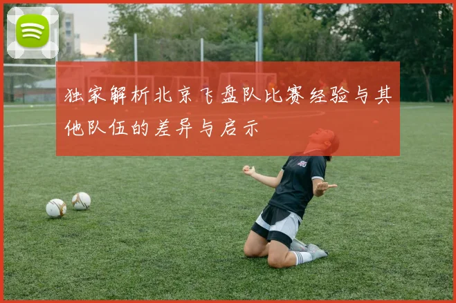 独家解析北京飞盘队比赛经验与其他队伍的差异与启示