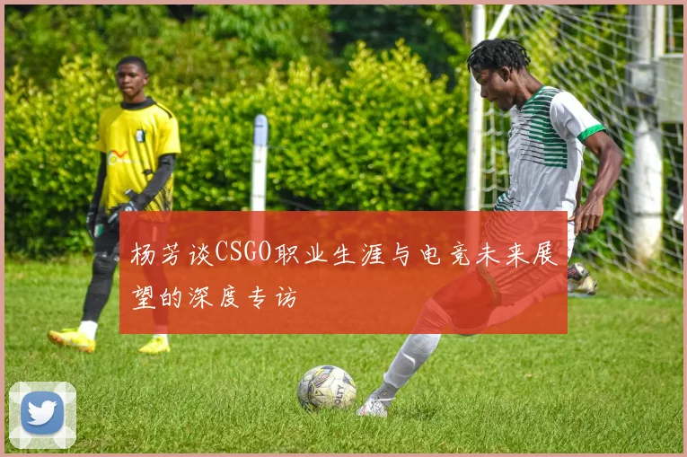 杨芳谈CSGO职业生涯与电竞未来展望的深度专访
