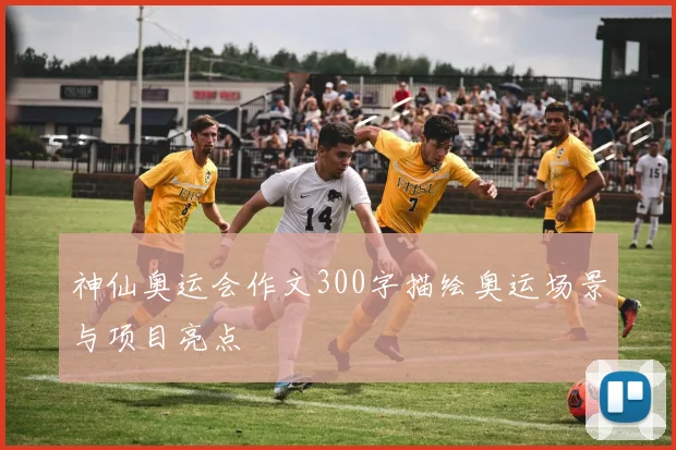 神仙奥运会作文300字描绘奥运场景与项目亮点