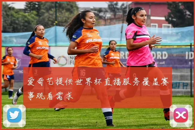 爱奇艺提供世界杯直播服务覆盖赛事观看需求